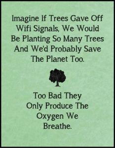 what-if-trees-gave-off-wifi-signals